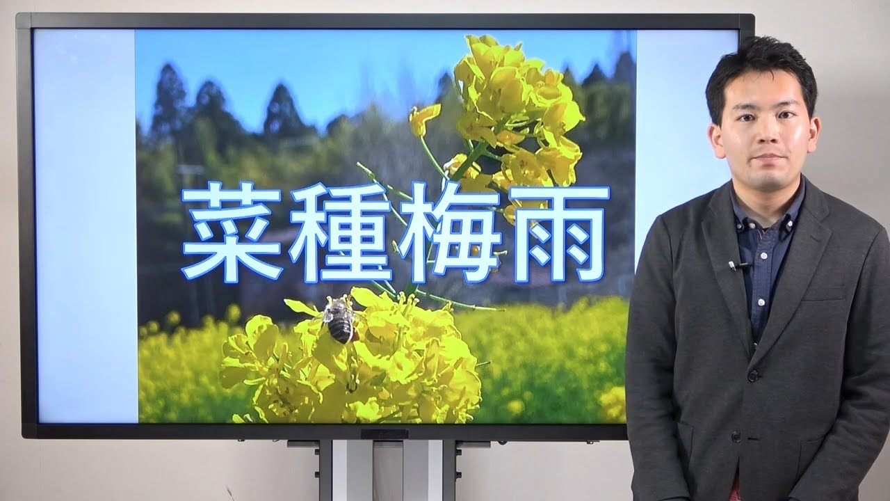 菜種梅雨について【お天気さんの季節便り】