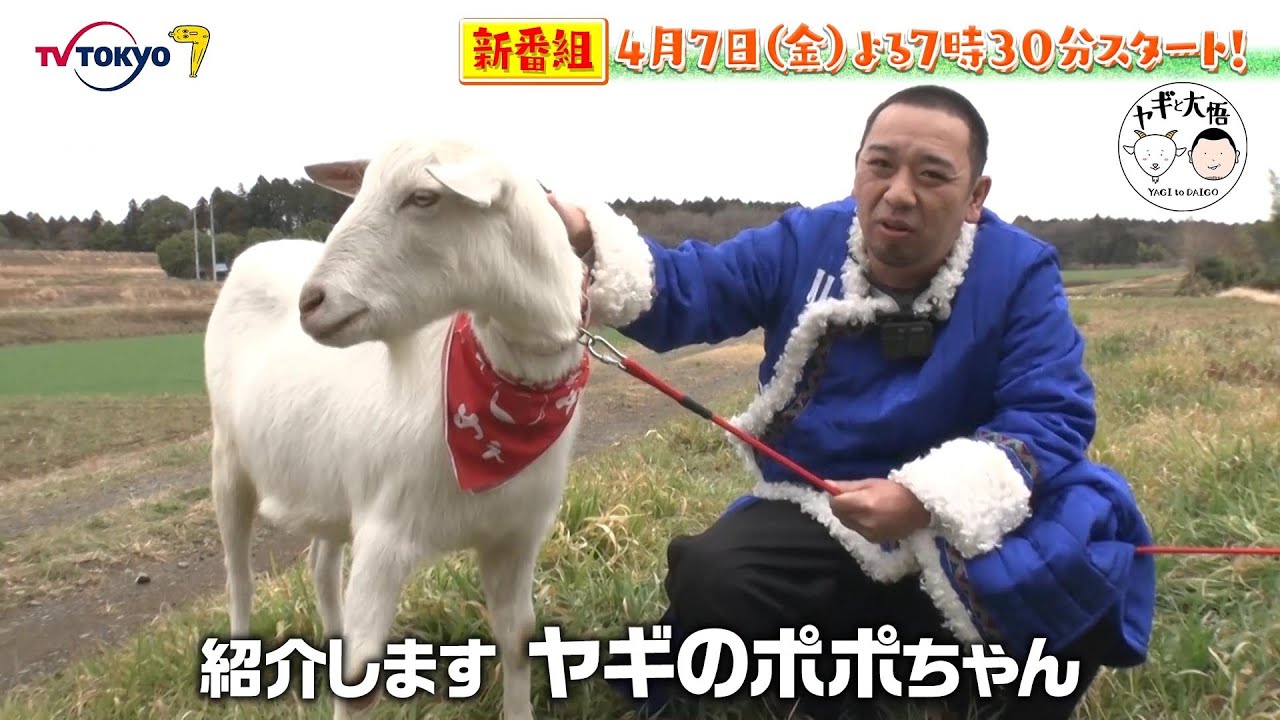 【予告】ヤギと大悟　祝レギュラー化！初回スペシャル
