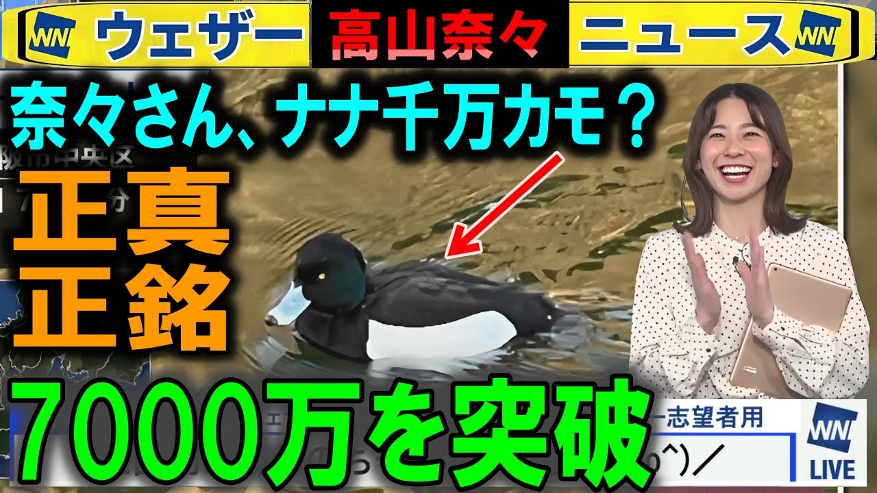 7,000万を突破したウェザーニュース
