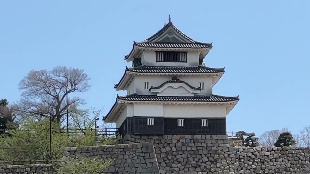 丸亀城の桜　202203