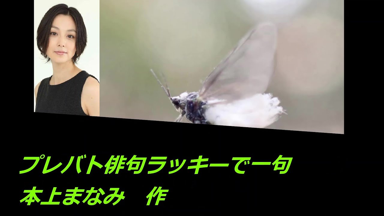 プレバト俳句冬麗戦(ラッキーで一句　本上まなみ作)