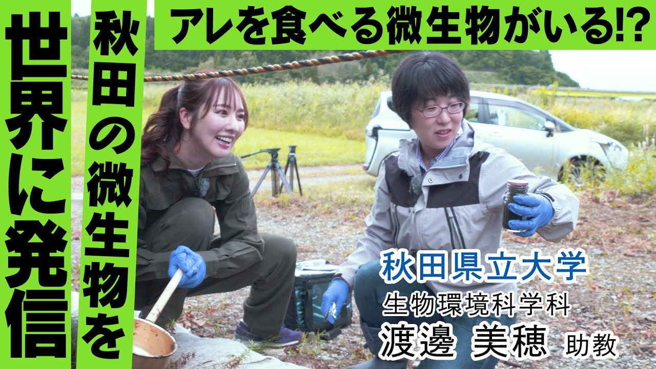 【ROOTS THE MOVIE vol 05】微生物ハンター渡邊！ アレを食べる微生物を追え！｜秋田県立大学 秋田キャンパス 渡邊 美穂 助教