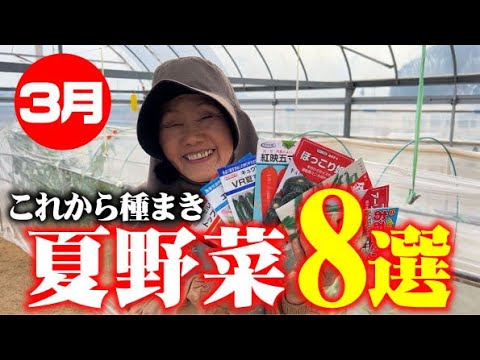 【これからが本番！】これから種まきする品種と育苗中の苗の状況【夏野菜】