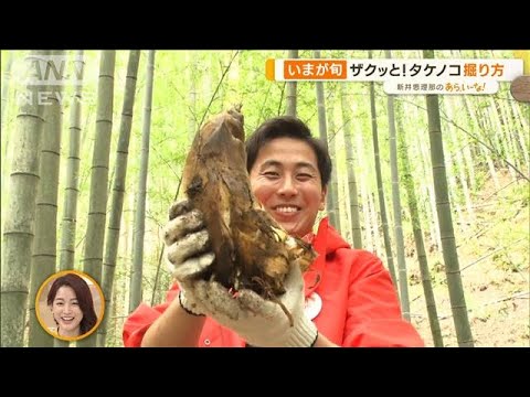 今が旬！絶品「タケノコ」掘り　ポイントは“芽”を探して…大量収穫！【あらいーな】(2023年4月7日)