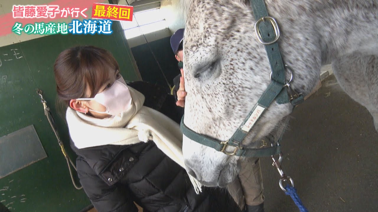 皆藤愛子が行く　冬の馬産地北海道Vol.3（2023年3月18日放送分）