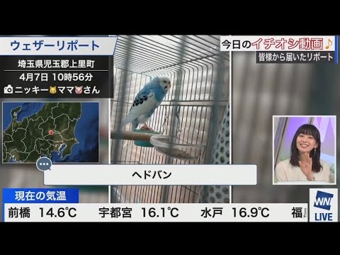 檜山沙耶　ポヨンに大爆笑😂2023.4.7 ムーン