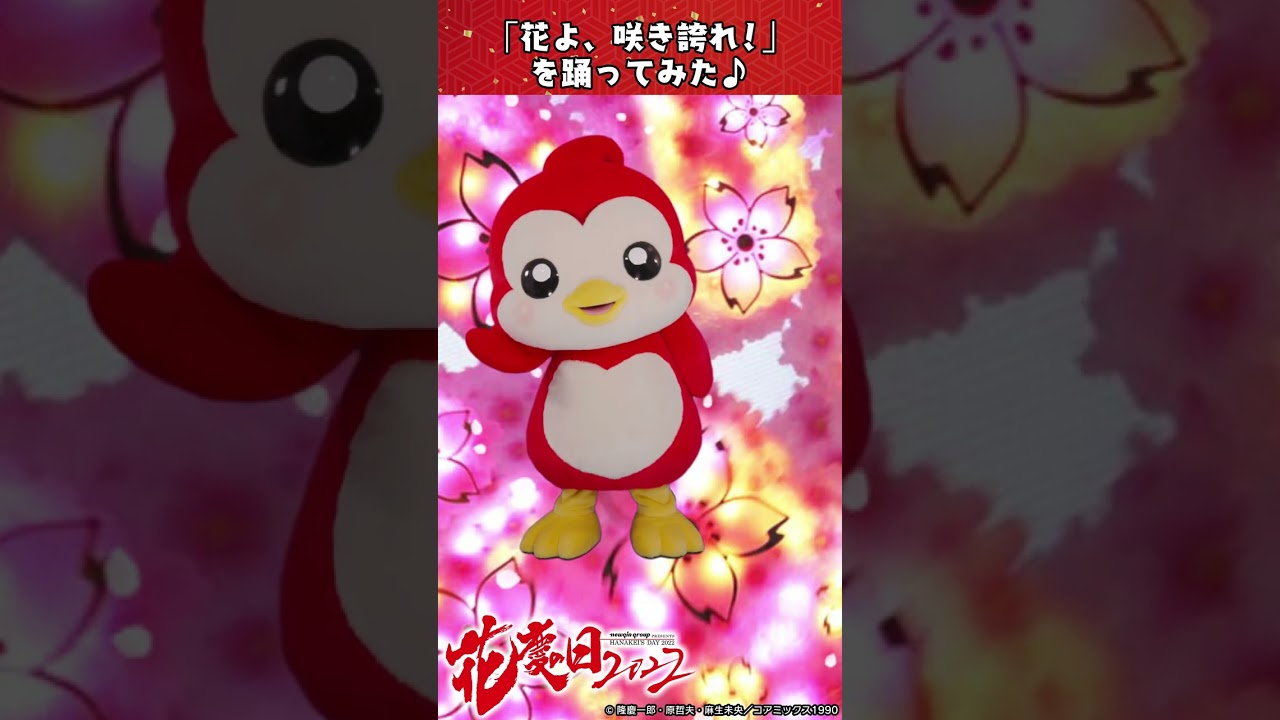 【ギンちゃん】花よ、咲き誇れ！を踊ってみた【ニューギン】#shorts #花の慶次 #パチンコ ＃大西洋平