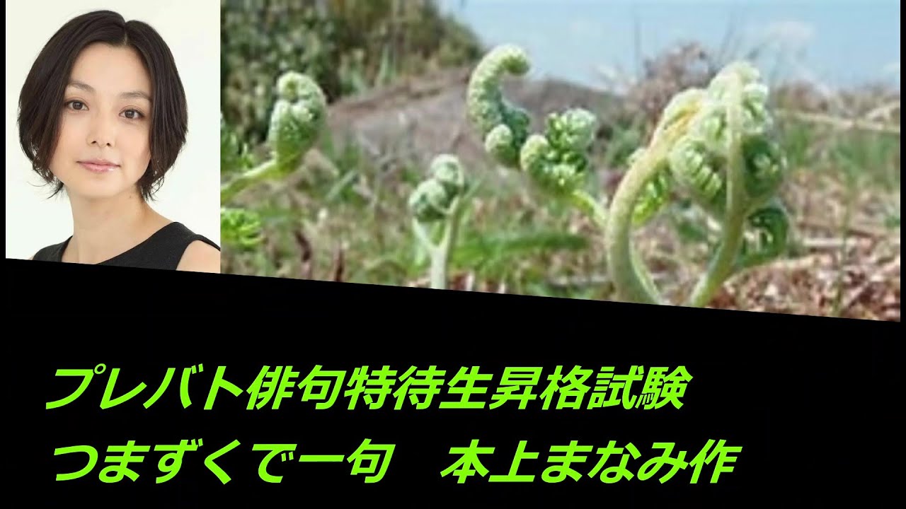 プレバト俳句特待生昇格試験(つまずくで一句　本上まなみ作)