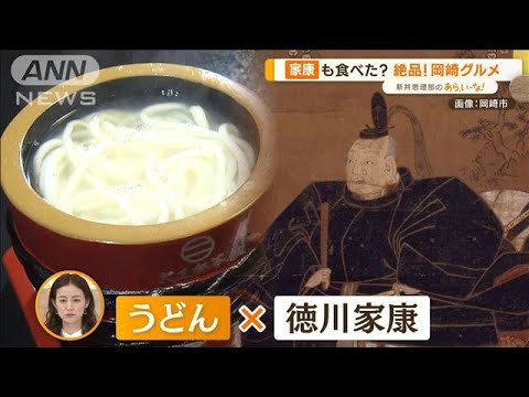 家康も食べた？絶品グルメ！…“偉人が住んだ町”岡崎市の人気スポット【あらいーな】(2023年4月10日)