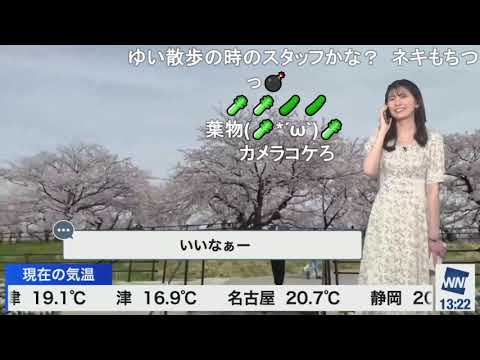 【駒木結衣】男性中継スタッフと謎の距離感なおゆい ニコ生コメント付き