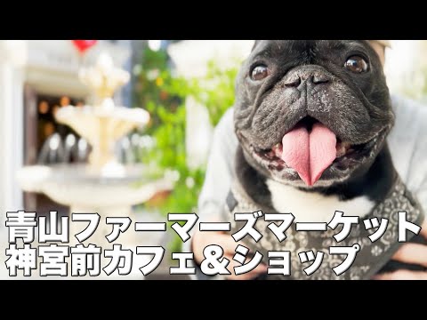 青山ファーマーズマーケット・神宮前・原宿を歩く都会っ子ココ氏