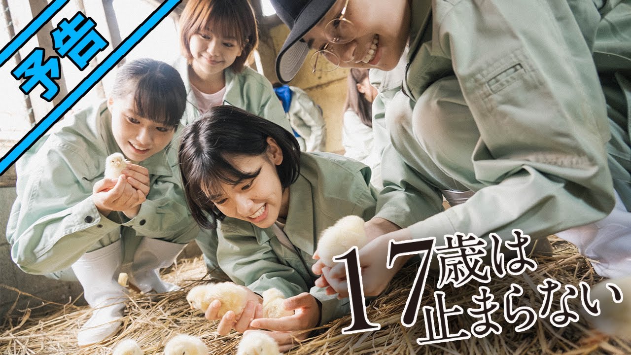 映画『17歳は止まらない』予告編