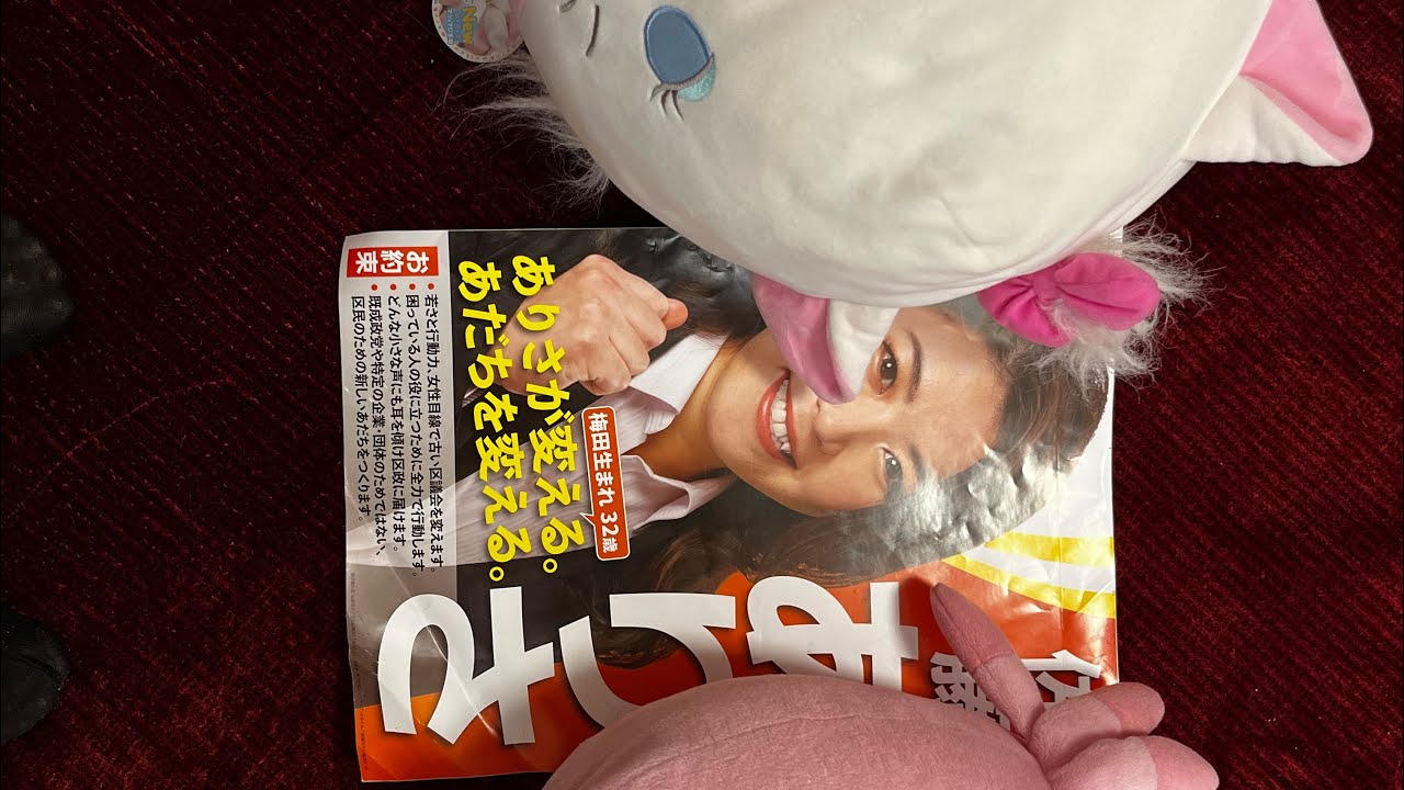 出馬するとしたら危惧していること2(storageの関係で動画切れた…)
