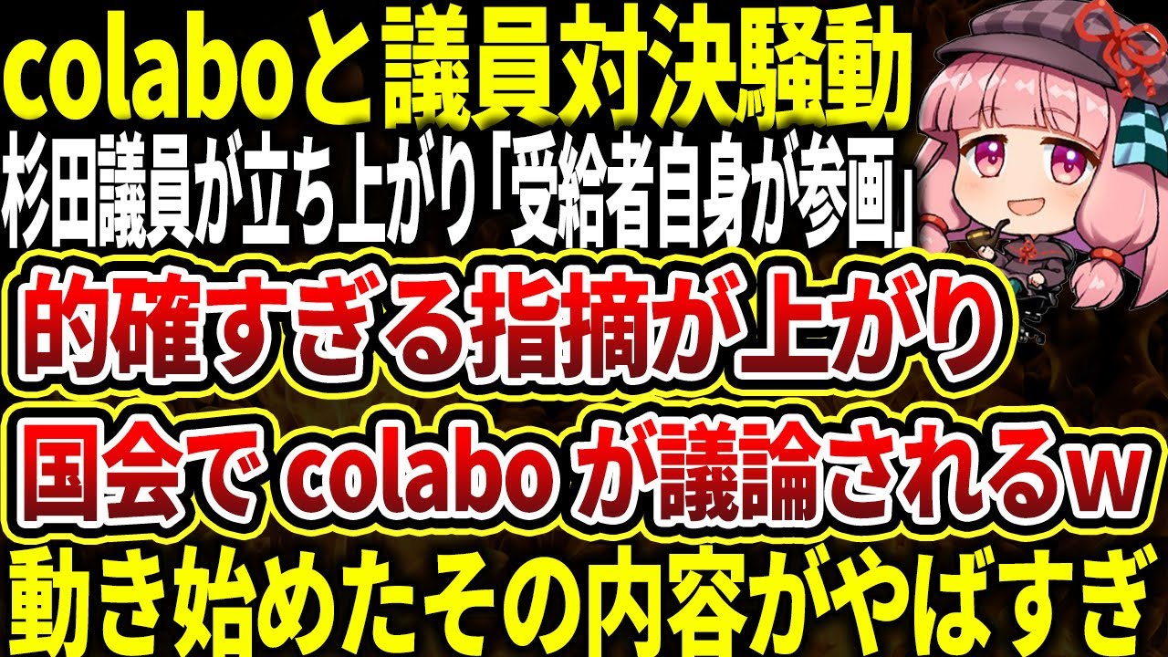 【激震】杉田議員が立ち上がり「受給者自身が参画」→的確すぎるcolaboへの指摘で国会で議論になる様子をゆっくり解説【Colabo/仁藤夢乃/暇空茜】