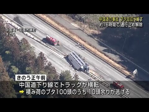 【山口】中国道の事故　ブタ回収が終了　約１６時間で通行止め解除