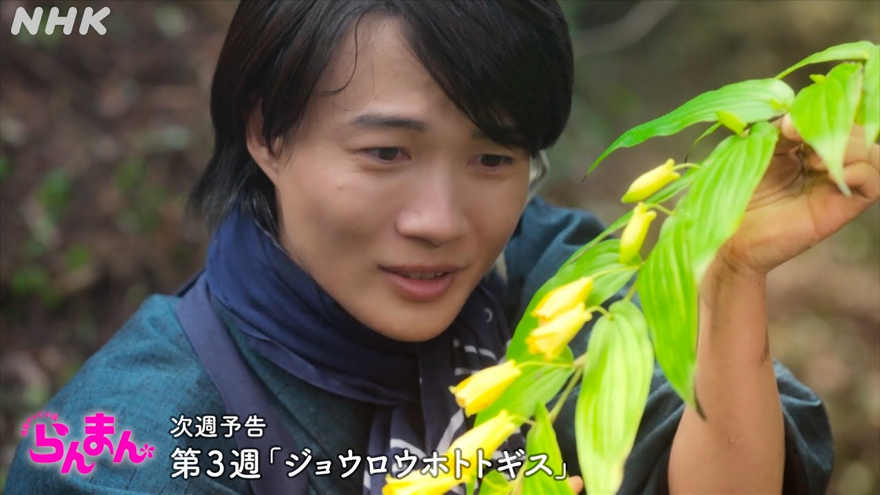 [らんまん] 第3週「ジョウロウホトトギス」次週予告 | 朝ドラ | NHK