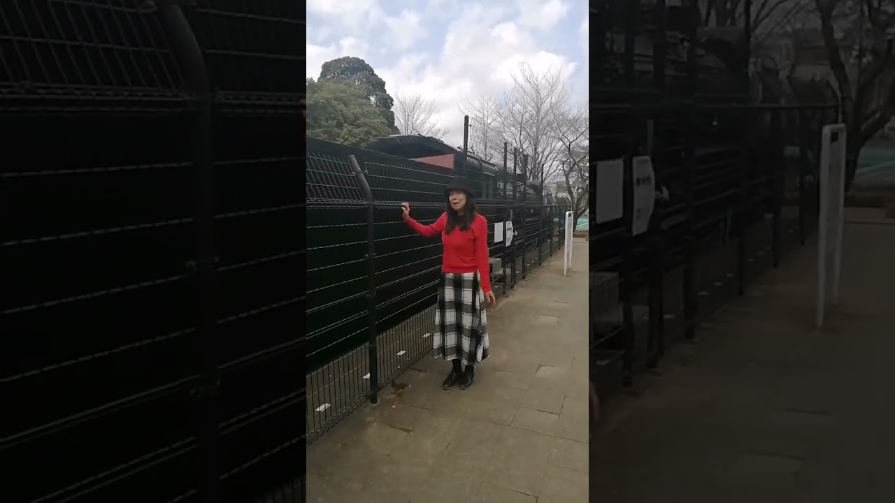 青山メーテルがお見送り#銀河鉄道の夜 #GalacticExpressMaetel#银河快车梅特尔　　