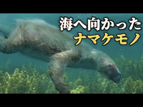 昔々、ナマケモノが海にも生息していたらしいです！ ^.^