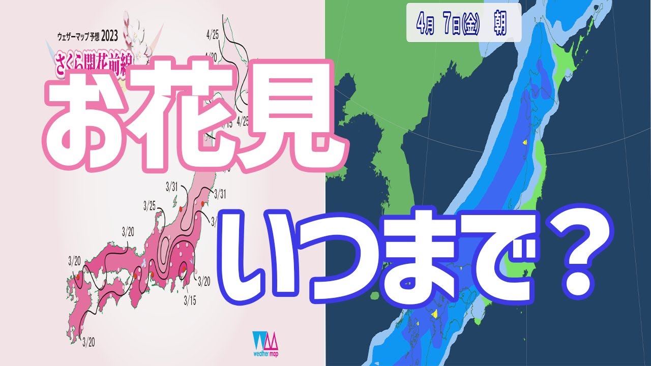 【お花見ラストチャンス !? 】3月31日（金）【毎週金曜日21:15～ライブ配信（#山本卓）】
