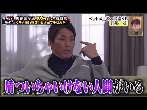 【痛快TV スカッとジャパン】「非常識な最低ドライバー」 どう撃退?