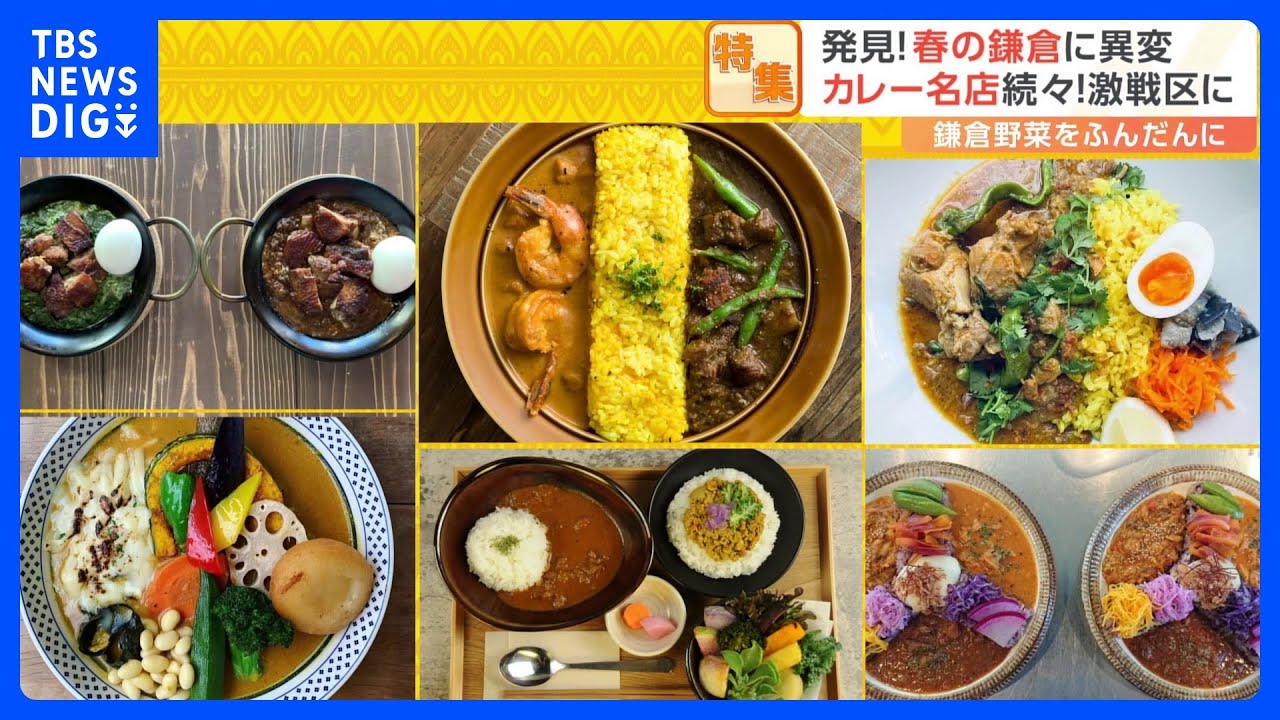 “春の古都”鎌倉に“異変”？いつの間にか“カレー激戦区”に！？“鳩サブレー”の豊島屋に新たな名物も　街の新たな楽しみ方とは？｜TBS NEWS DIG
