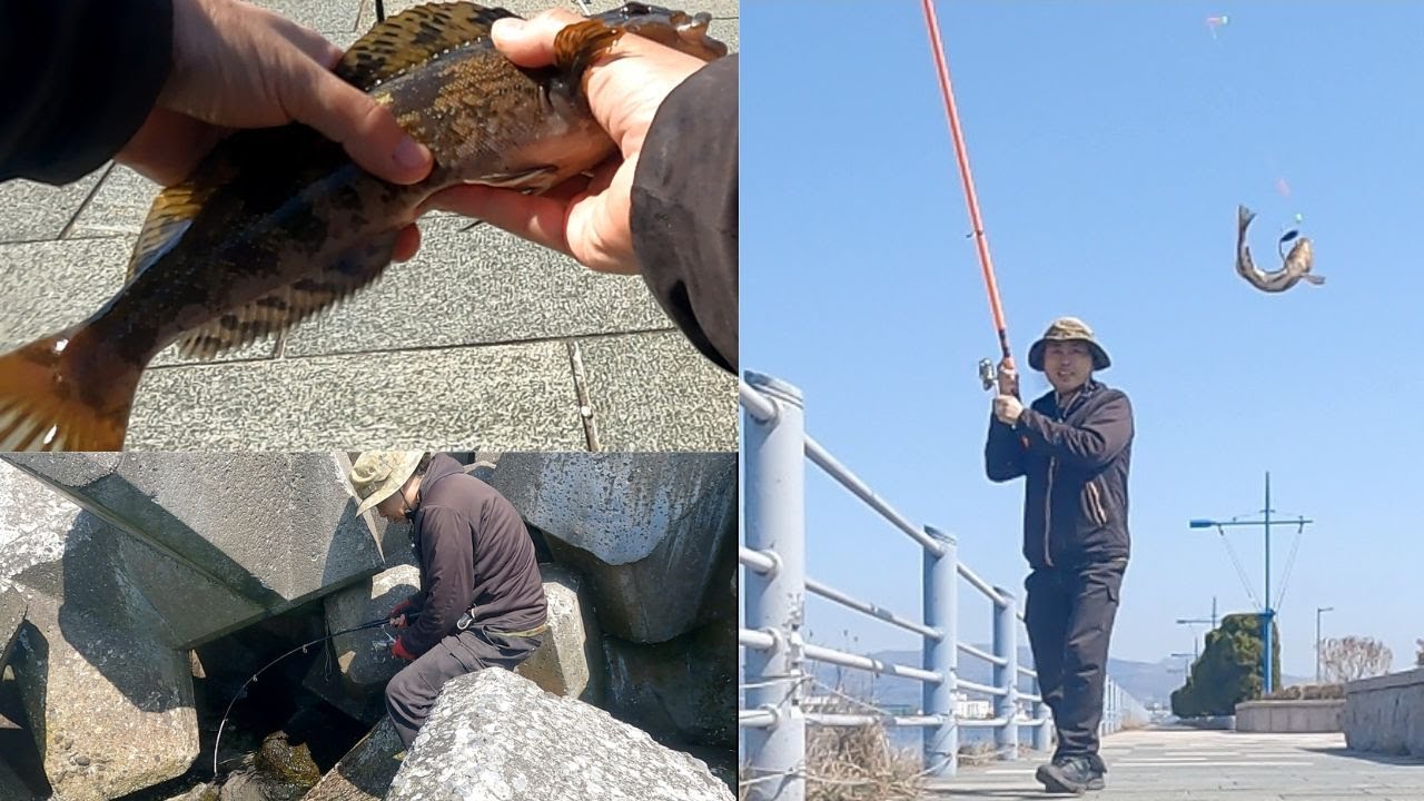 緑の島に春が来た！！入れ食い喜びの港