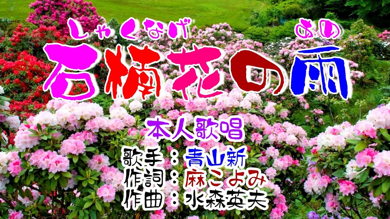 💙歌：青山新🎵「石楠花の雨」🍀（本人歌唱）🔴HD 1080p60