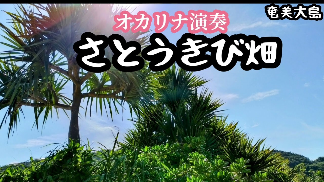 さとうきび畑/ちあきなおみ/森山良子(オカリナ演奏・409曲目)オカリナハイビスOcarina Hibi’s
