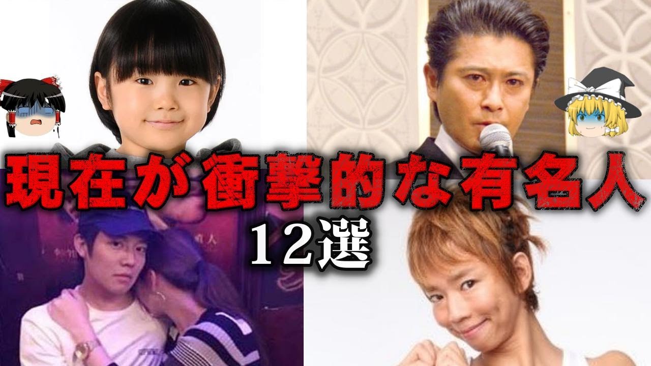 【総集編】現在の姿が衝撃的な有名人12選をゆっくり解説【作業用】