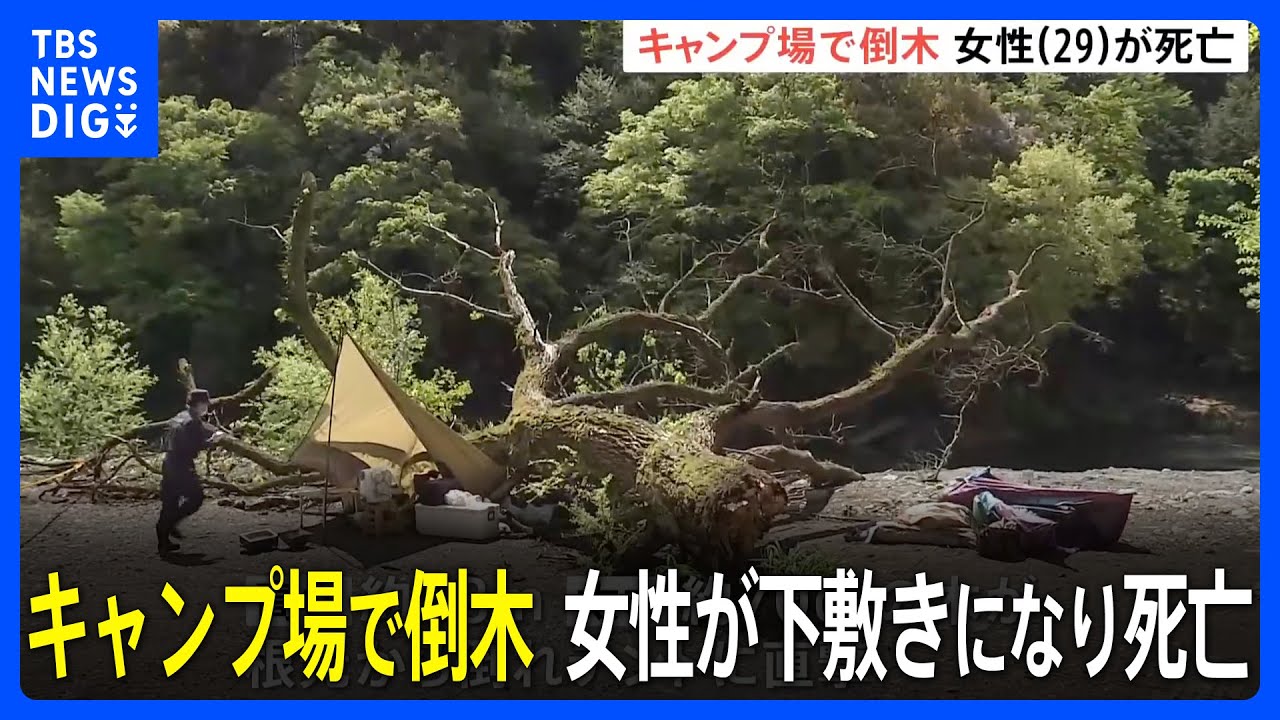 【速報】キャンプ場で倒木　テントで寝ていた29歳の女性が下敷きになり死亡　「根腐れ」が原因か｜TBS NEWS DIG