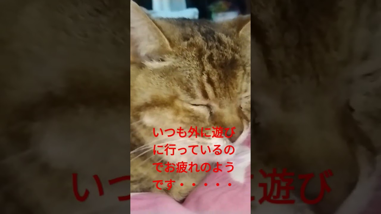 朝起きたら・・・・・・