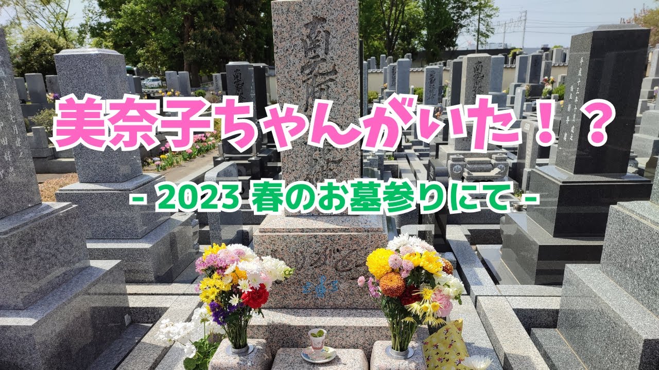 お墓参りに行ったら本田美奈子さんがいました...？