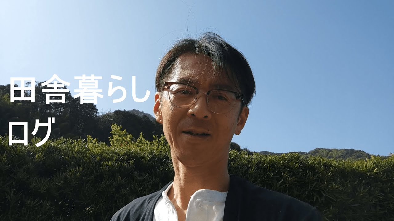 怪しい芽とブランコとかわいいの