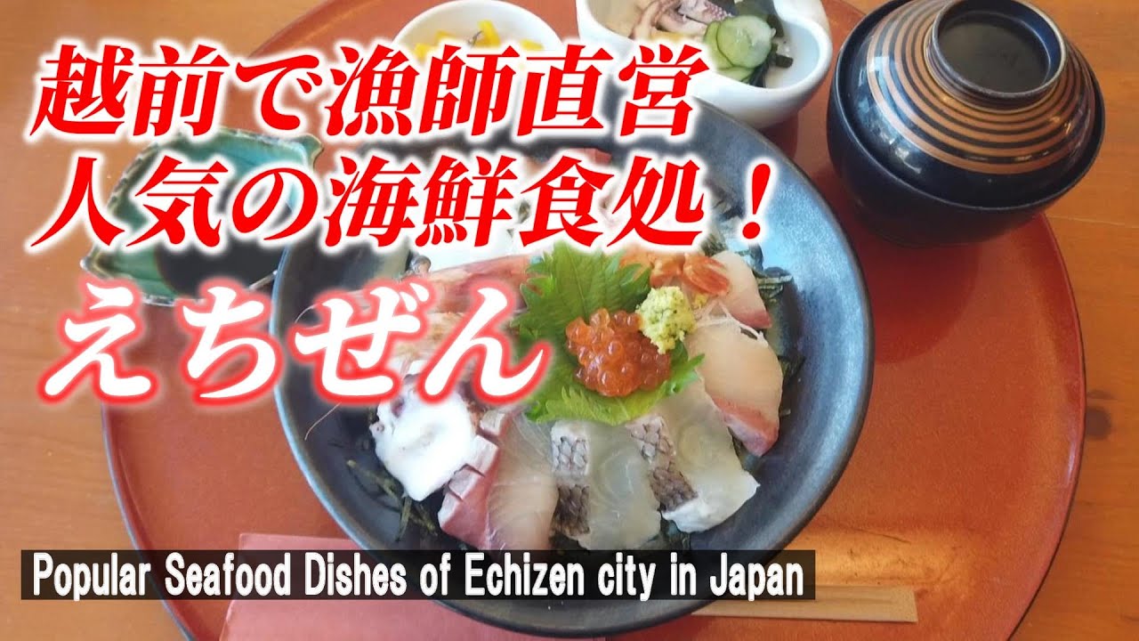 【福井越前グルメ】海が見えるロケーションで絶品海鮮丼！「海の幸 食処 えちぜん」【 Seafood Dishes of Echizen city in Japan】