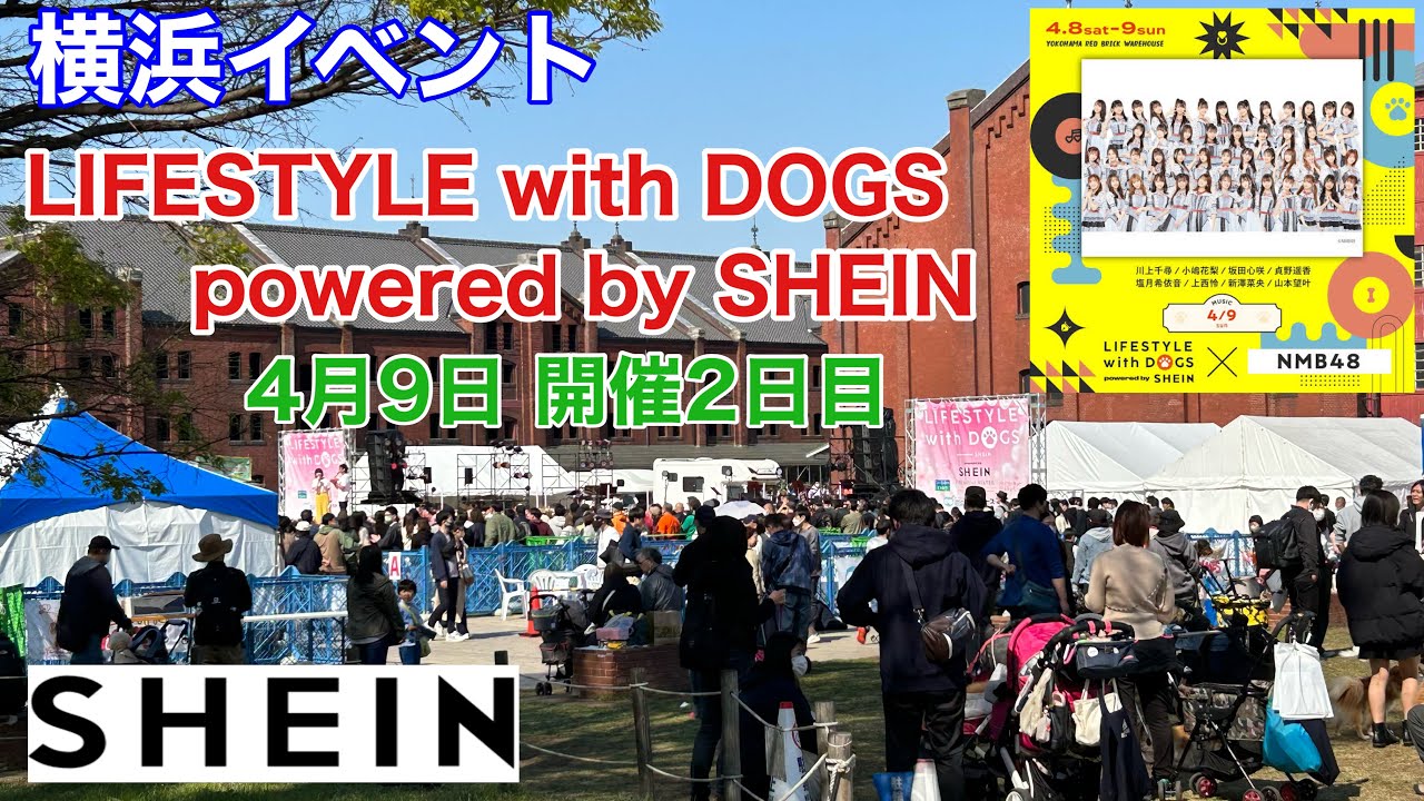 【横浜イベント】LIFESTYLE with DOGS powered by SHEIN 2日目 の様子を見て歩く（　HKT48 / SKE48 / NMB48 / NGT48 も出演!!）