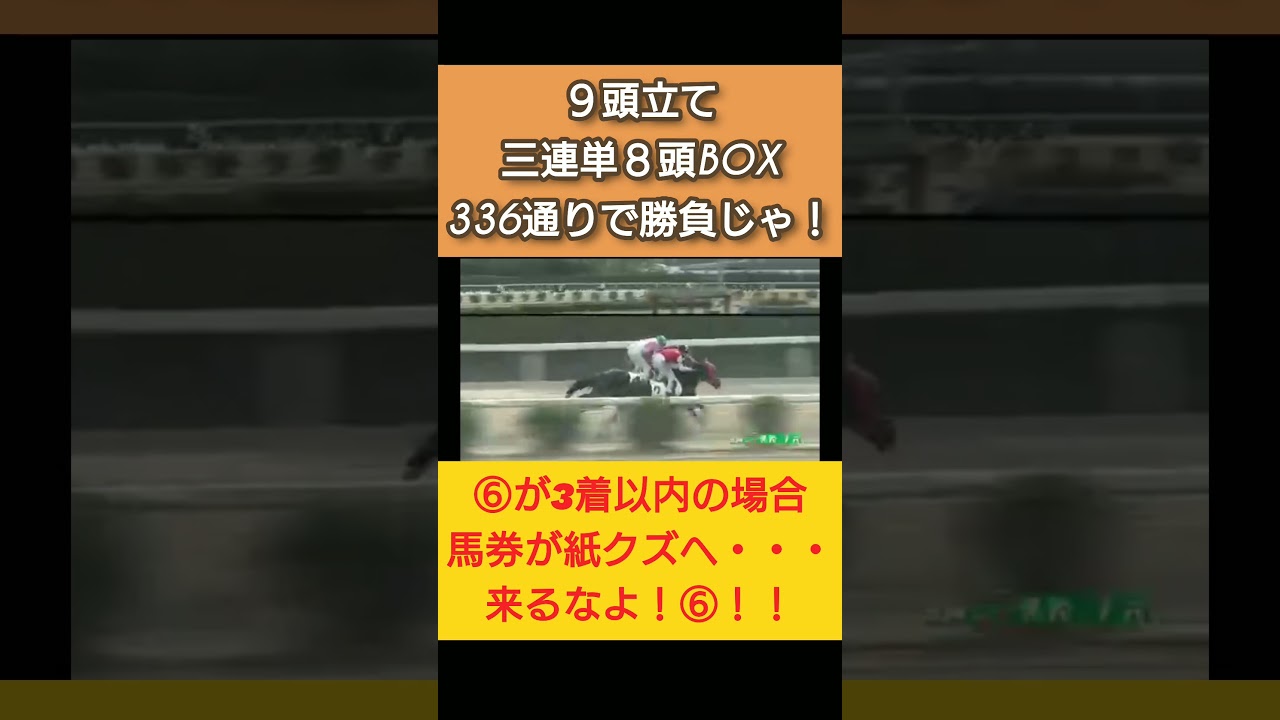 【競馬】不良馬場の佐賀競馬第１レースはよう荒れるとの噂があるのでそれならガチ勝負やろ！ #shorts