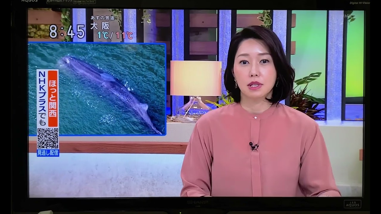 23/01/10 JOBK ニュース845関西　牛田茉友アナウンサー