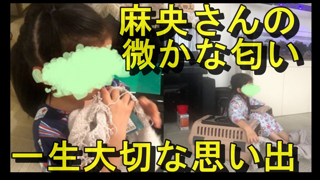 ５歳の堀越麗禾ちゃん、妻・麻央さんのボロボロになった“形見”を肌身離さず