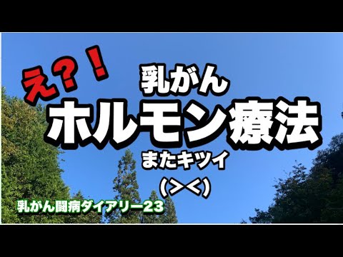 ホルモン療法ってこんな感じ。更年期なの？【乳がん闘病ダイアリー23】