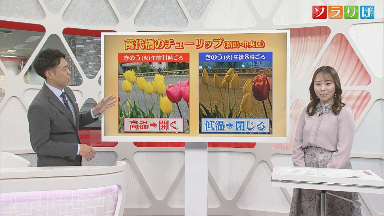 【気象予報士が解説】20日は夏日続出？気温乱高下の今週　暑さに注意を　スーパーJにいがた4月19日OA