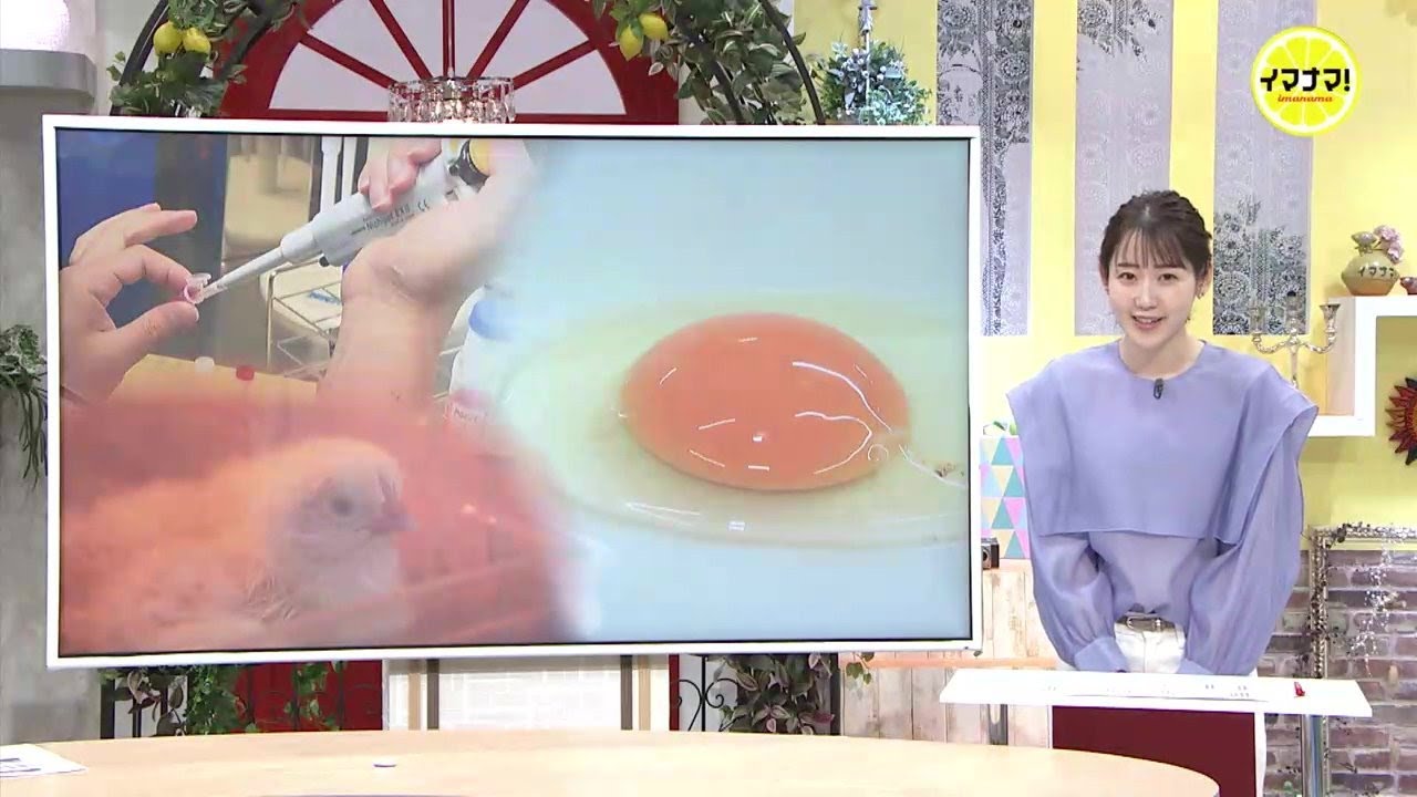 もうすぐ開発「卵アレルギーの人も食べられる卵」 未来の食を変える　広島大学 “ゲノム研究” 最前線