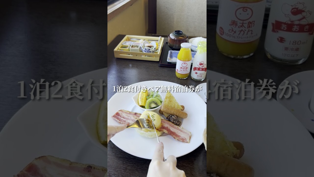 【無料で宿泊しちゃおう！】お正月お年玉企画！【新 海花亭いずみ】