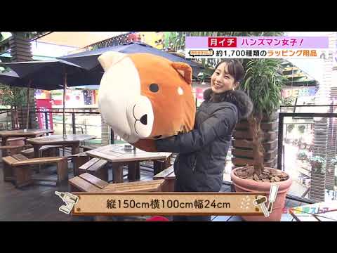 【新企画】「ハンズマン女子」バレンタインに！ラッピンググッズ（2023年2月3日OA）｜ももち浜ストア