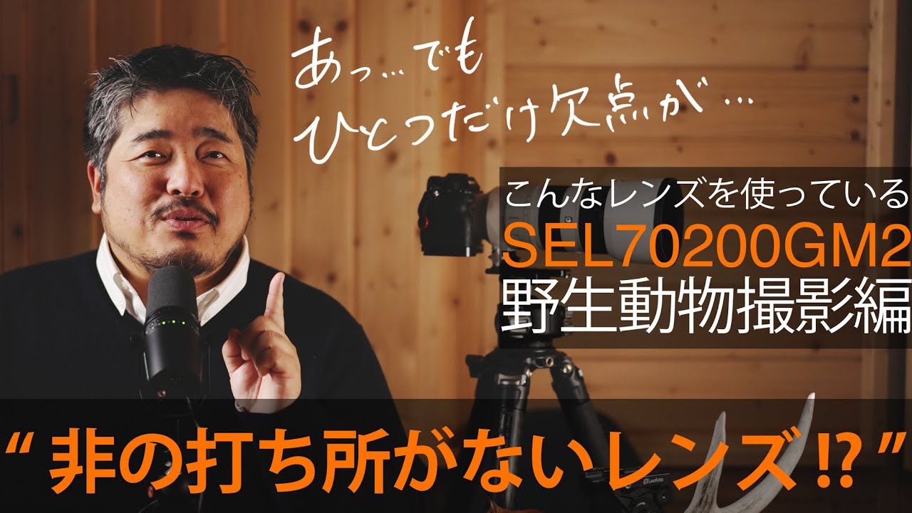【SEL70200GM2】写真家がレビューする「SONY SEL70200GM2」野生動物撮影編 - 写真家はこんなレンズを使っている