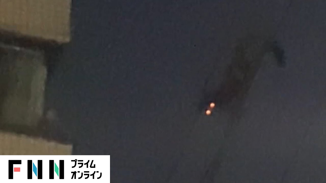 闇にうごめく外来生物　都内各地で目撃　正体は…？