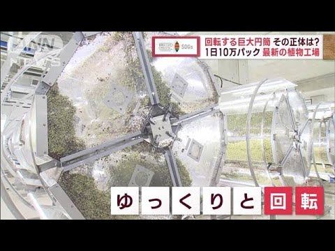気候変動でも“1日10万パック”安定生産　最新鋭の植物工場【SDGs】(2023年2月4日)