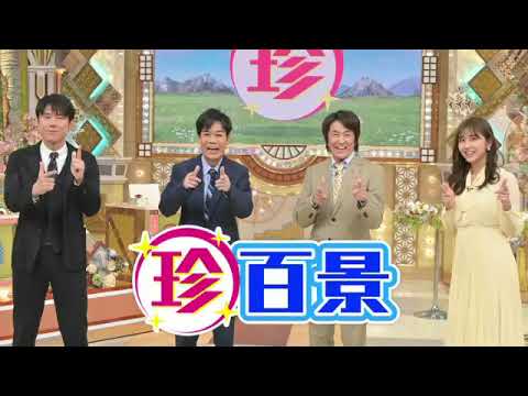 🔴ライブ配信 ナニコレ珍百景3時間SP4月30日＜動画/フル＞2023年4月30日LIVE FULL HD
