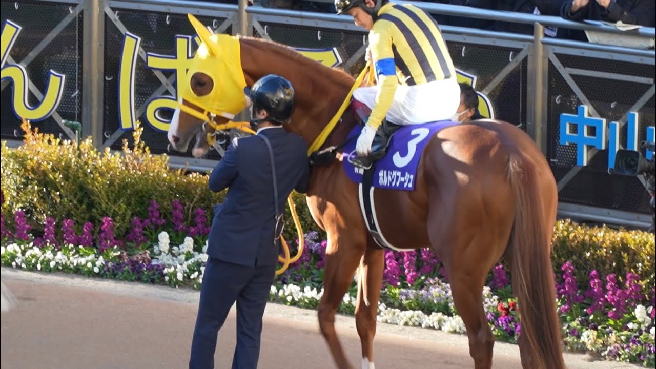福永裕一騎手最後の有馬記念パドック ボルドグフーシュ 2022/12/25