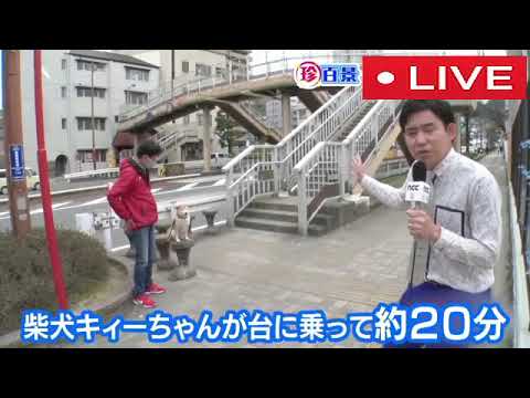 【再放送】ナニコレ珍百景3時間SP4月30日＜静岡/山口/山形/長野/秋田/北海道/宮城/岩手/愛媛/沖縄/茨城/岡山/大分/配信/見逃し＞2023年4月30日放送分 FULL