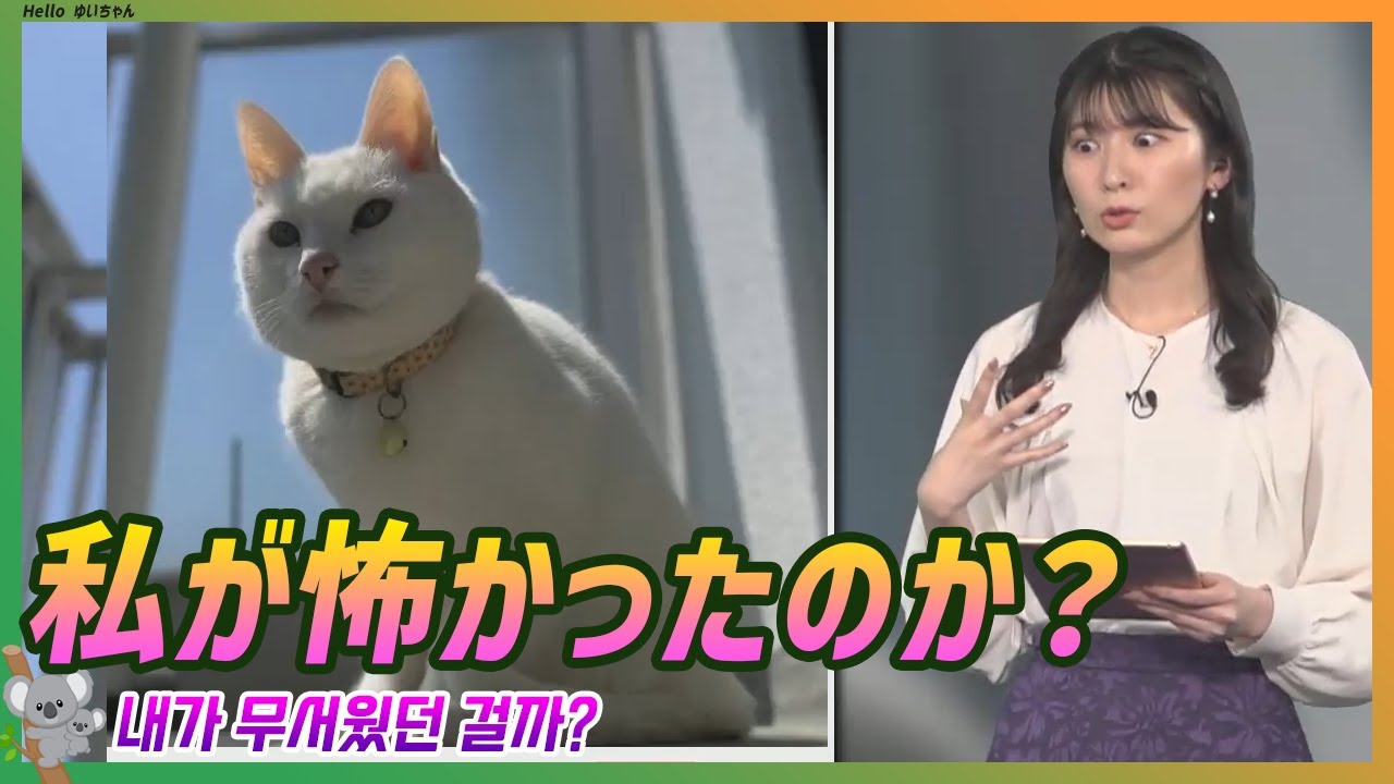 怖かったのか？私のことが...｜駒木結衣 エピソード